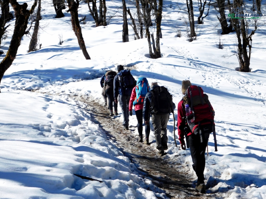 Kedarkantha Trek 