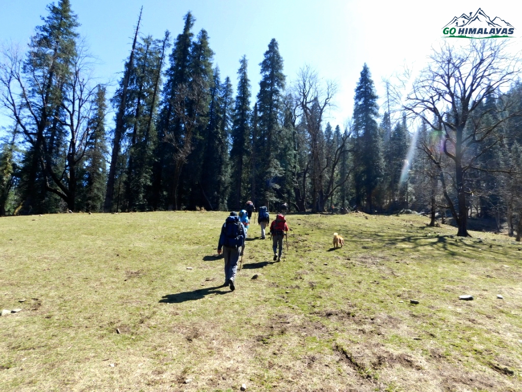 Kedarkantha Trek 