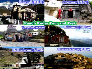 Panch Kedar Trek and Tour